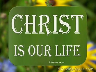 Colossians 3:4 Christ Our Life (sage)
